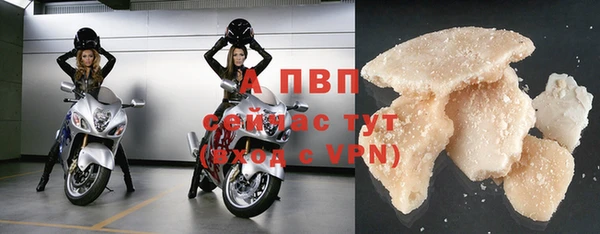 сатива Вяземский