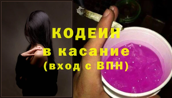 сатива Вяземский