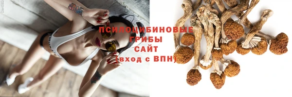 сатива Вяземский