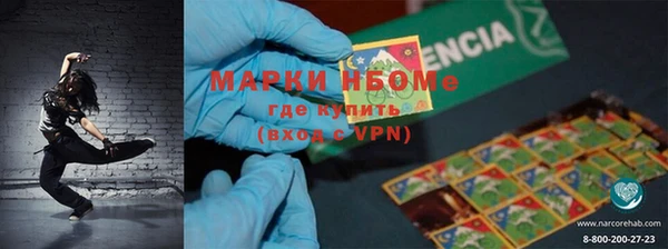 сатива Вяземский