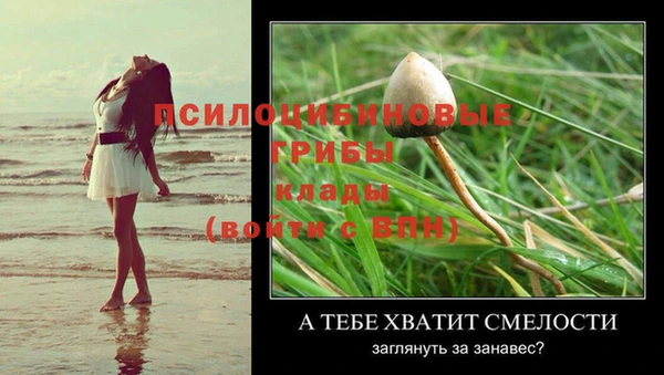сатива Вяземский