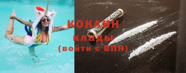 сатива Вяземский