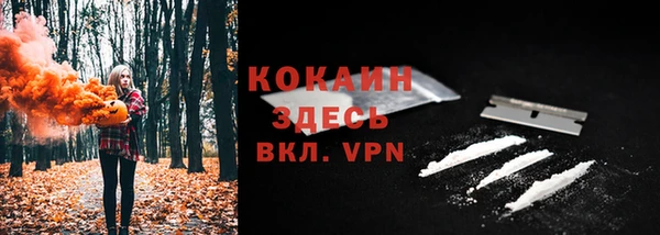 сатива Вяземский